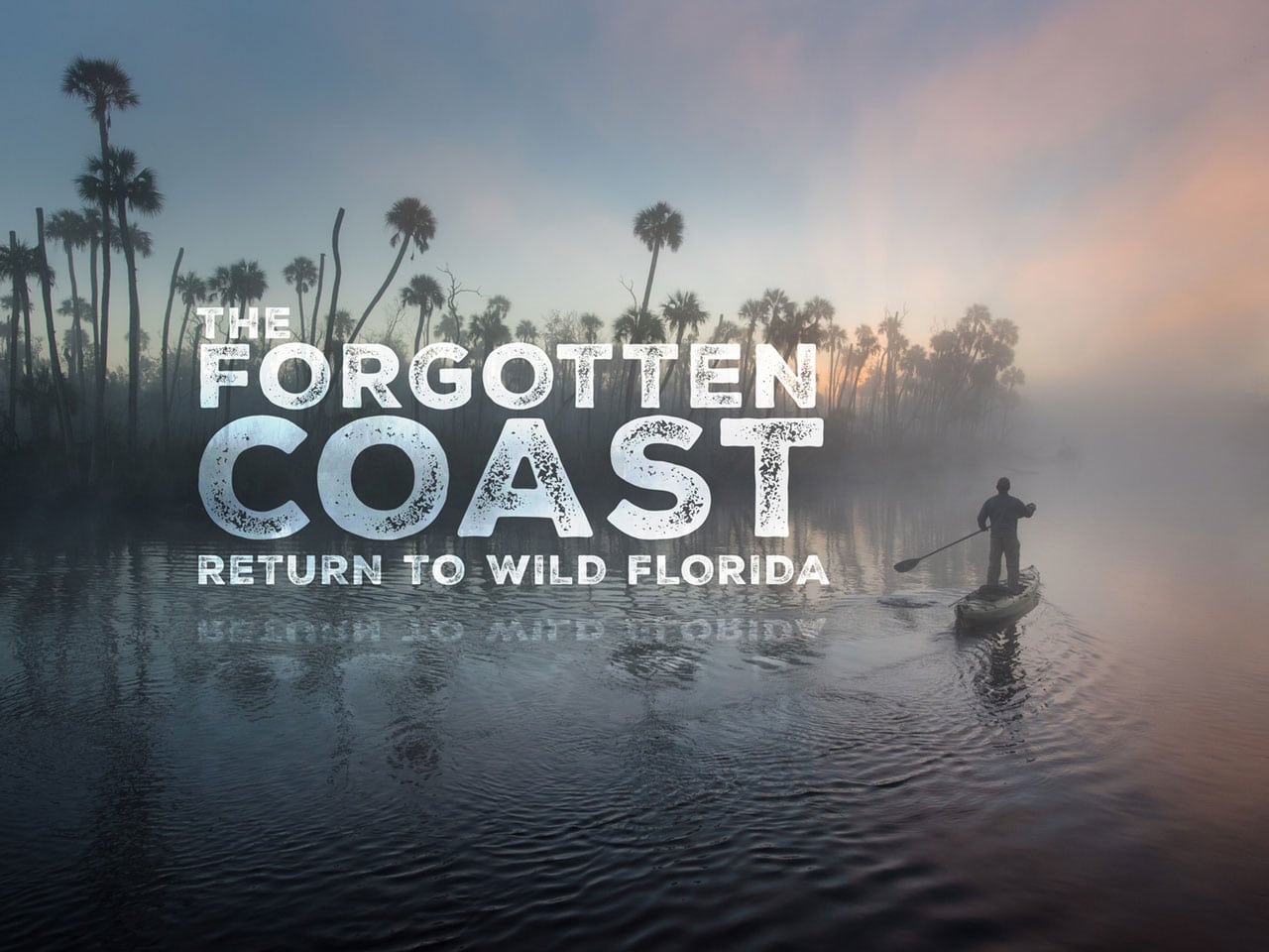 Florida Wild: The Forgotten Coast